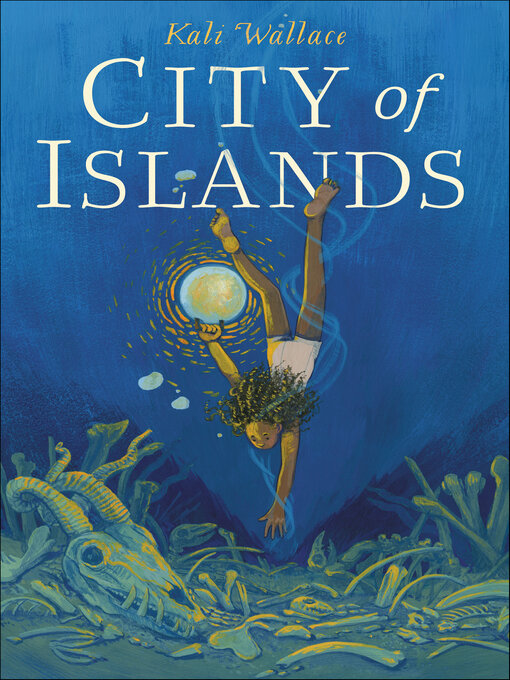 Cover image for City of Islands